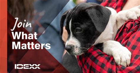 indexx|IDEXX: Enhancing Pet, People, and Livestock Health Worldwide.